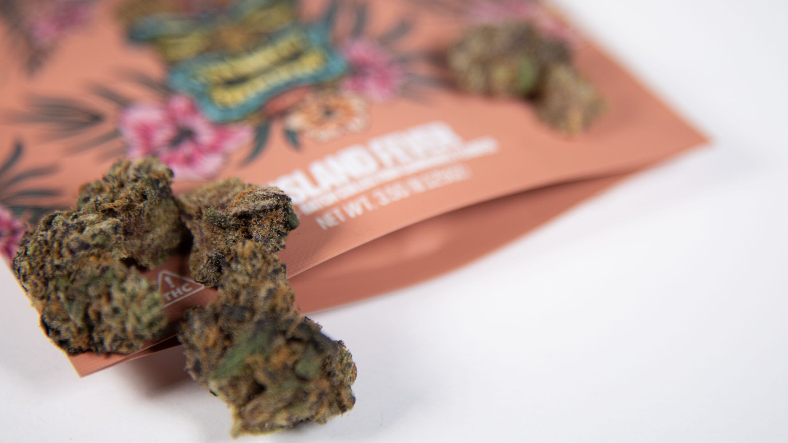 High on Inspiration: Cannabis Favorites for the Creative Community
